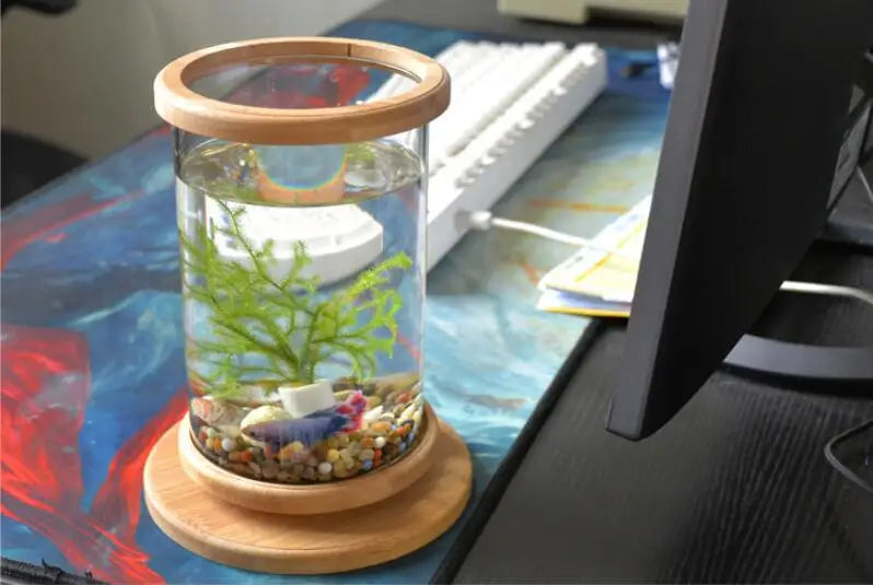 Glass Betta Fish Tank with Bamboo Base - Unique 360-degree rotating design for unobstructed viewing of your betta fish