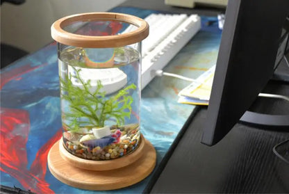 Glass Betta Fish Tank with Bamboo Base - Unique 360-degree rotating design for unobstructed viewing of your betta fish