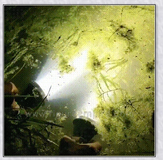 Ultra-bright Shadowhawk Flashlight with 90,000 lumens of power, aviation-grade aluminum alloy construction, and adjustable brightness settings for outdoor activities and emergency use.