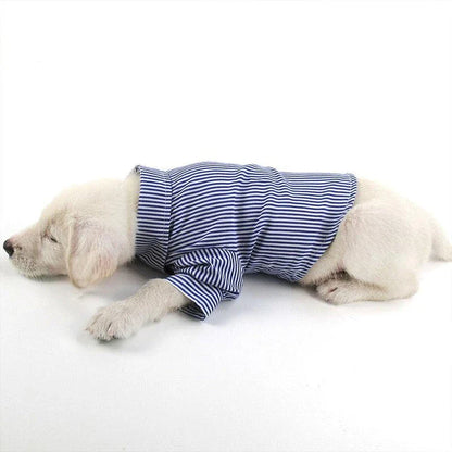 A dog wearing a casual striped shirt, looking stylish and comfortable