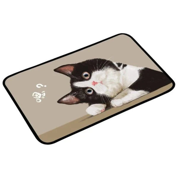 Absorbent bathroom mat with flannel surface and non-slip bottom, providing comfort and safety for bathroom floors