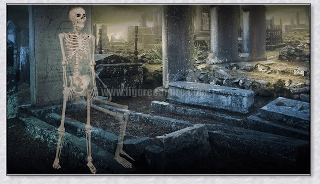 Lifelike 5-foot Halloween skeleton decoration with realistic bone-like finish and flexible joints for customizable spooky poses