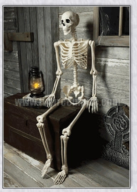 Lifelike 5-foot Halloween skeleton decoration with realistic bone-like finish and flexible joints for customizable spooky poses