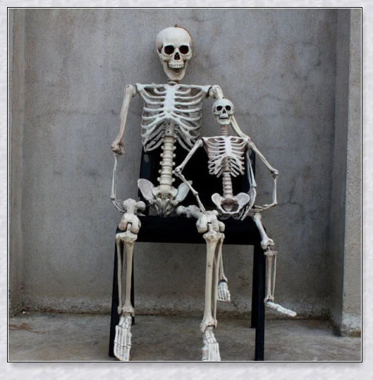 Lifelike 5-foot Halloween skeleton decoration with realistic bone-like finish and flexible joints for customizable spooky poses
