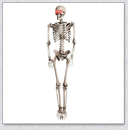Lifelike 5-foot Halloween skeleton decoration with realistic bone-like finish and flexible joints for customizable spooky poses