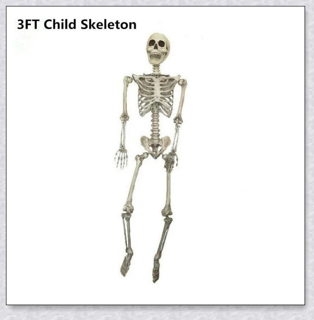 Lifelike 5-foot Halloween skeleton decoration with realistic bone-like finish and flexible joints for customizable spooky poses