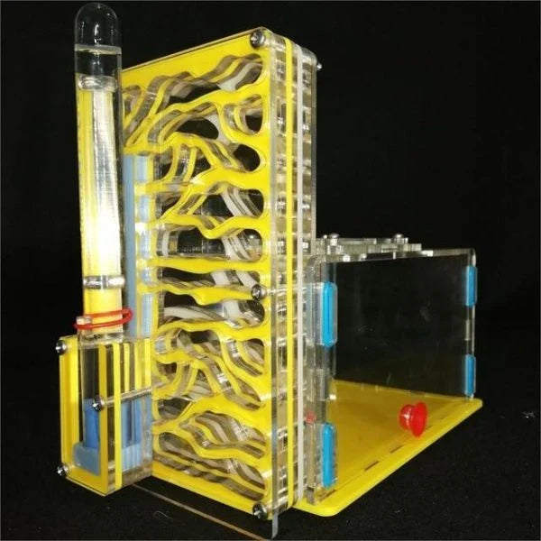 Ant Farm Nest with clear acrylic panels for easy observation of ants