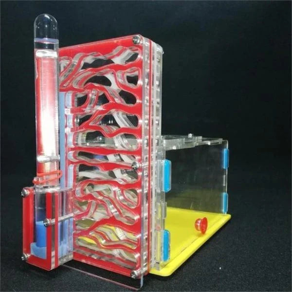 Ant Farm Nest with clear acrylic panels for easy observation of ants