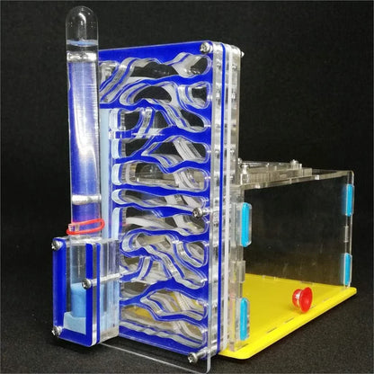Ant Farm Nest with clear acrylic panels for easy observation of ants
