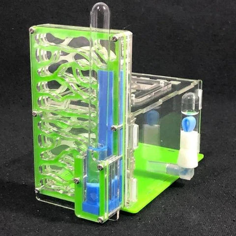 Ant Farm Nest with clear acrylic panels for easy observation of ants