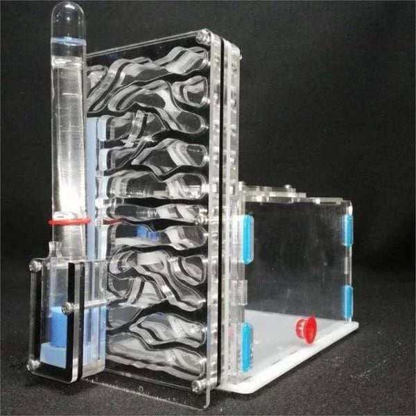 Ant Farm Nest with clear acrylic panels for easy observation of ants
