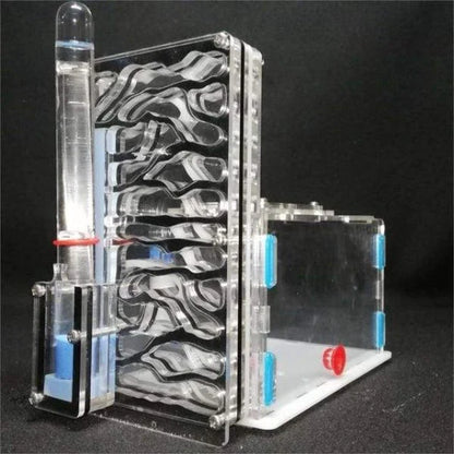 Ant Farm Nest with clear acrylic panels for easy observation of ants
