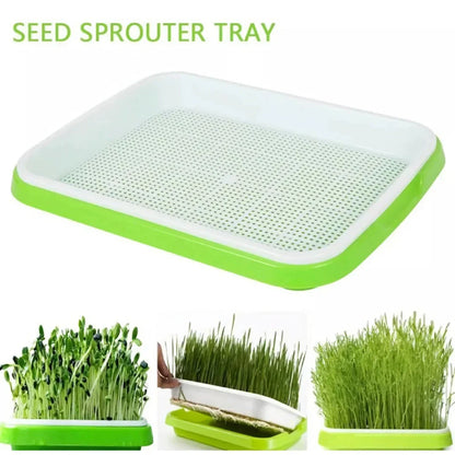 EasyGrow Hydroponic Microgreens & Sprouting Tray - Grow fresh, nutrient-dense microgreens and sprouts at home