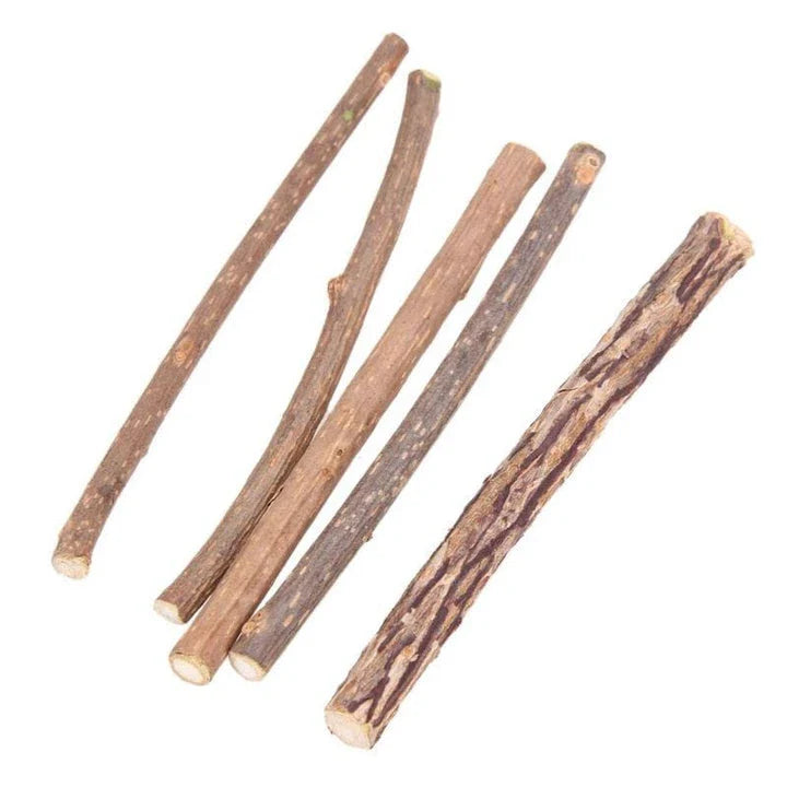 Catnip Teeth Brushing Sticks for Cats - Effective Dental Care Solution with Natural Catnip Infusion