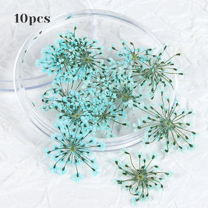 3D Dried Flower Nail Art Decorations Set featuring vibrant, real dried flowers for unique and elegant nail designs