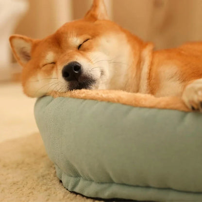 Cozy non-slip warming pet bed made of 100% cotton for small dogs and cats, available in three sizes