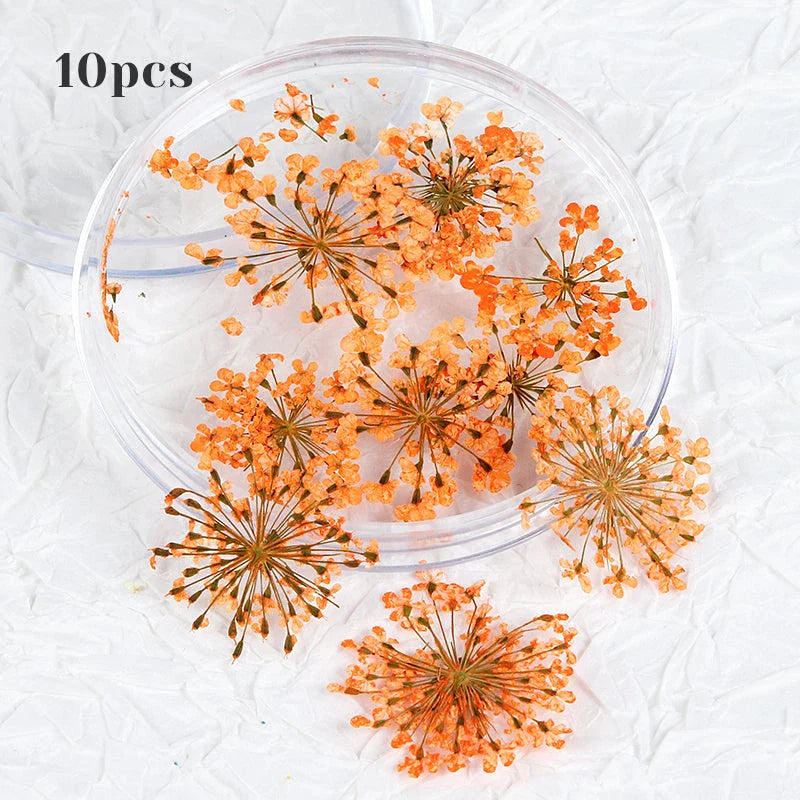 3D Dried Flower Nail Art Decorations Set featuring vibrant, real dried flowers for unique and elegant nail designs