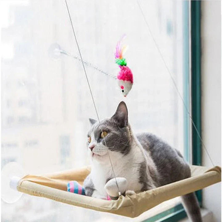 Cozy cat hammock in various colors, including green, khaki, purple, blue, and more, with and without cushions