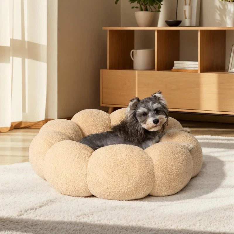 A cozy, flower-shaped dog bed made of soft, plush teddy sherpa fabric with raised edges for head and neck support, providing a calming and comfortable resting spot for medium-sized dogs.