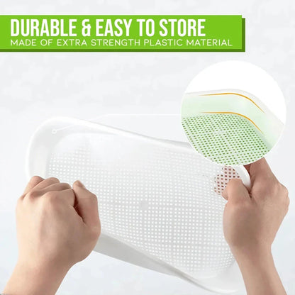 EasyGrow Hydroponic Microgreens & Sprouting Tray - Grow fresh, nutrient-dense microgreens and sprouts at home