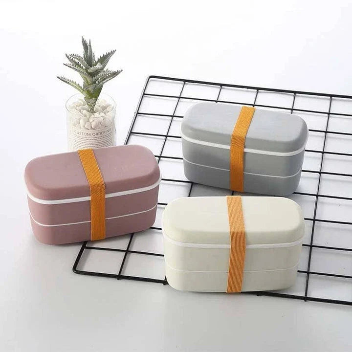 Microwave-safe 2-tier lunch box with separate compartments for organizing and transporting meals