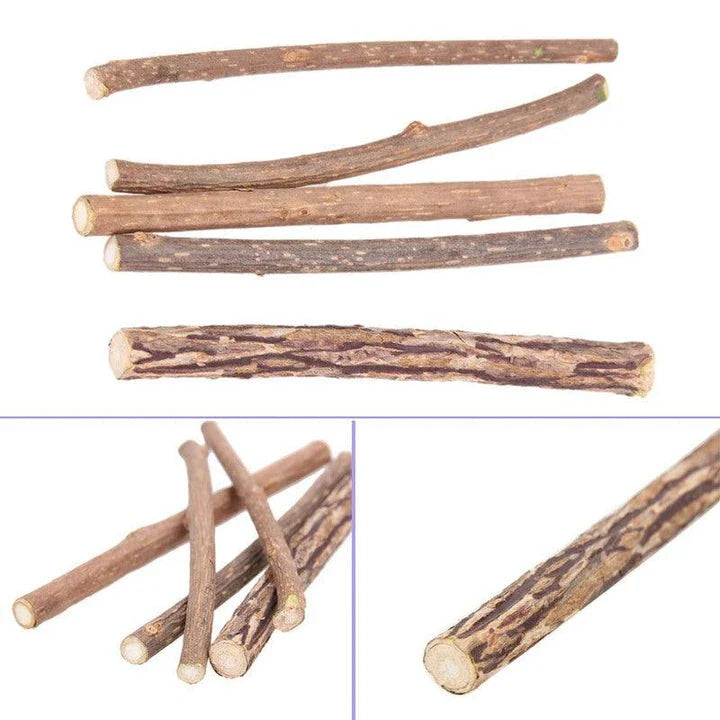 Catnip Teeth Brushing Sticks for Cats - Effective Dental Care Solution with Natural Catnip Infusion