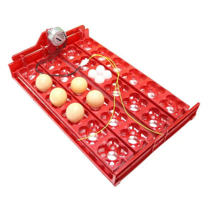 24-egg automatic incubator for hatching bird eggs with precise temperature and humidity controls