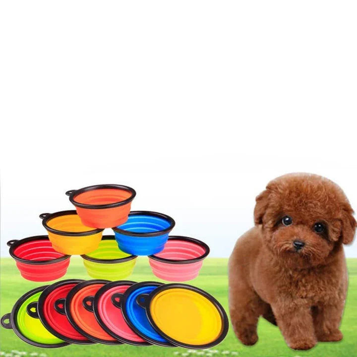 Hhomeenjoy Durable Foldable Bowls for Pets: Colorful, Portable, and Convenient
