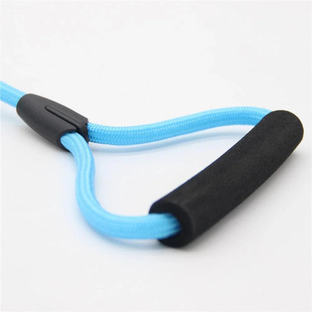 Durable nylon dog training rope with adjustable length and width options in blue, black, red, and orange colors