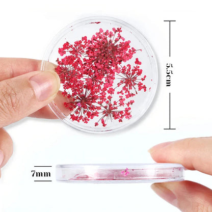 3D Dried Flower Nail Art Decorations Set featuring vibrant, real dried flowers for unique and elegant nail designs