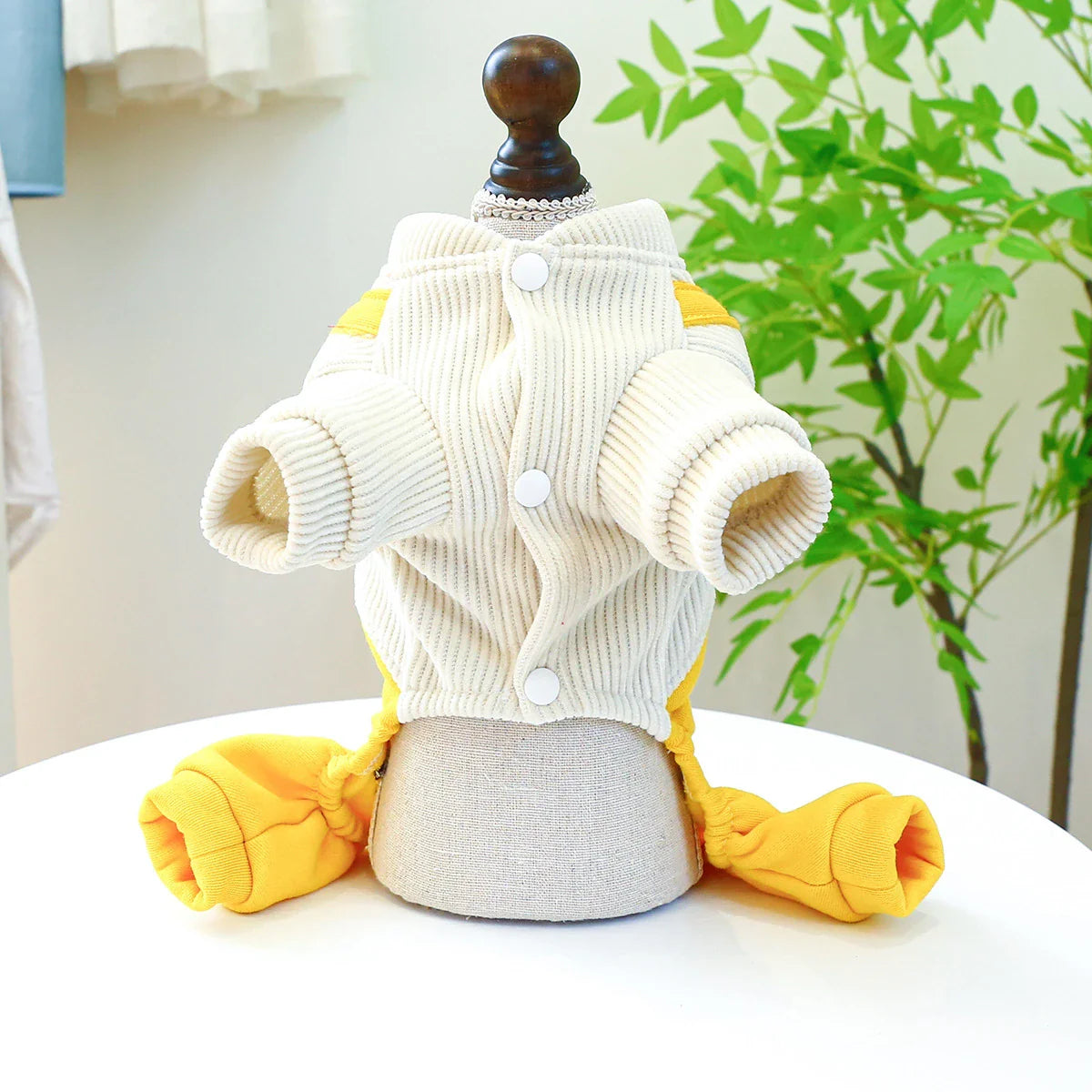 Corduroy suspender pants for dogs in various sizes and colors, featuring a trendy and fashionable design