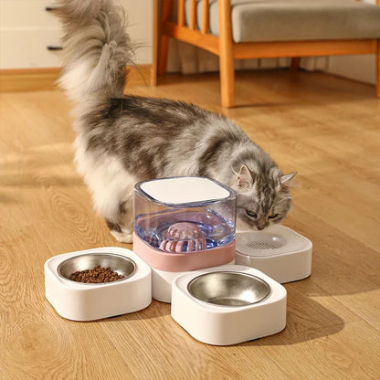 Large Capacity Automatic Pet Feeding Station with Water Dispenser and Separate Food Bowls for Dry and Wet Meals