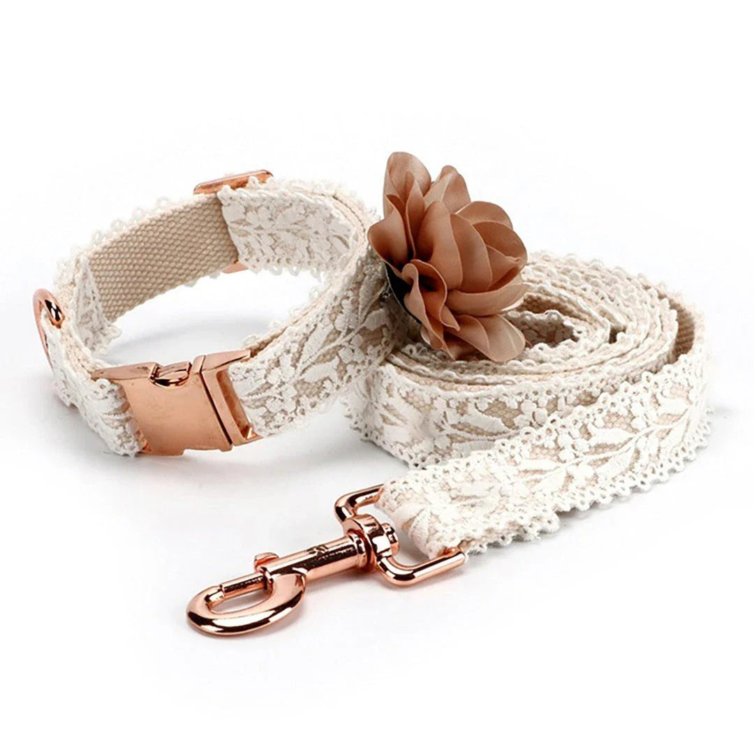 Elegant floral dog collar in multiple sizes, featuring a durable nylon construction and adjustable design for a comfortable and stylish fit.