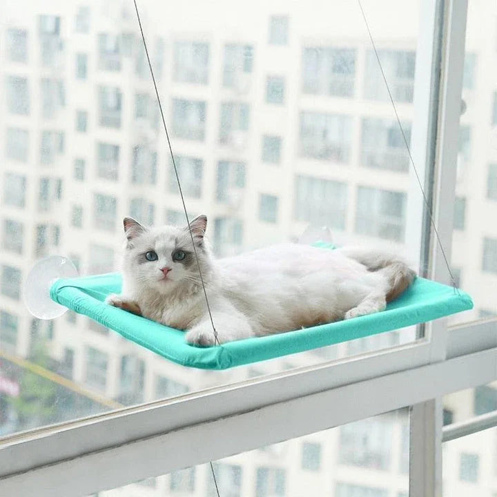 Cozy cat hammock in various colors, including green, khaki, purple, blue, and more, with and without cushions