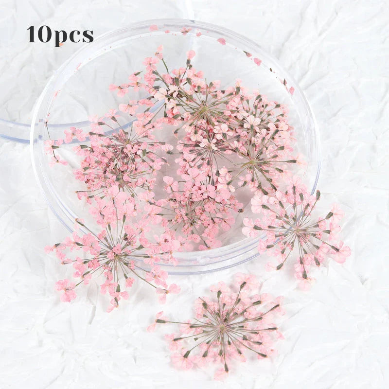 3D Dried Flower Nail Art Decorations Set featuring vibrant, real dried flowers for unique and elegant nail designs