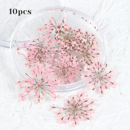 3D Dried Flower Nail Art Decorations Set featuring vibrant, real dried flowers for unique and elegant nail designs