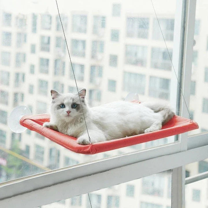 Cozy cat hammock in various colors, including green, khaki, purple, blue, and more, with and without cushions