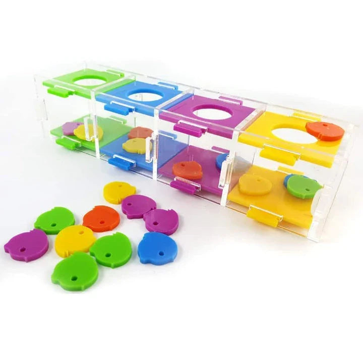 Intellectual Training Toy for Parrots: Engaging Color Puzzle and Brain Teaser to Promote Cognitive Development