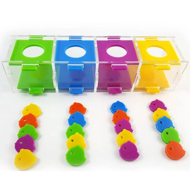 Intellectual Training Toy for Parrots: Engaging Color Puzzle and Brain Teaser to Promote Cognitive Development