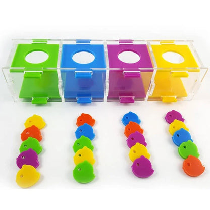 Intellectual Training Toy for Parrots: Engaging Color Puzzle and Brain Teaser to Promote Cognitive Development