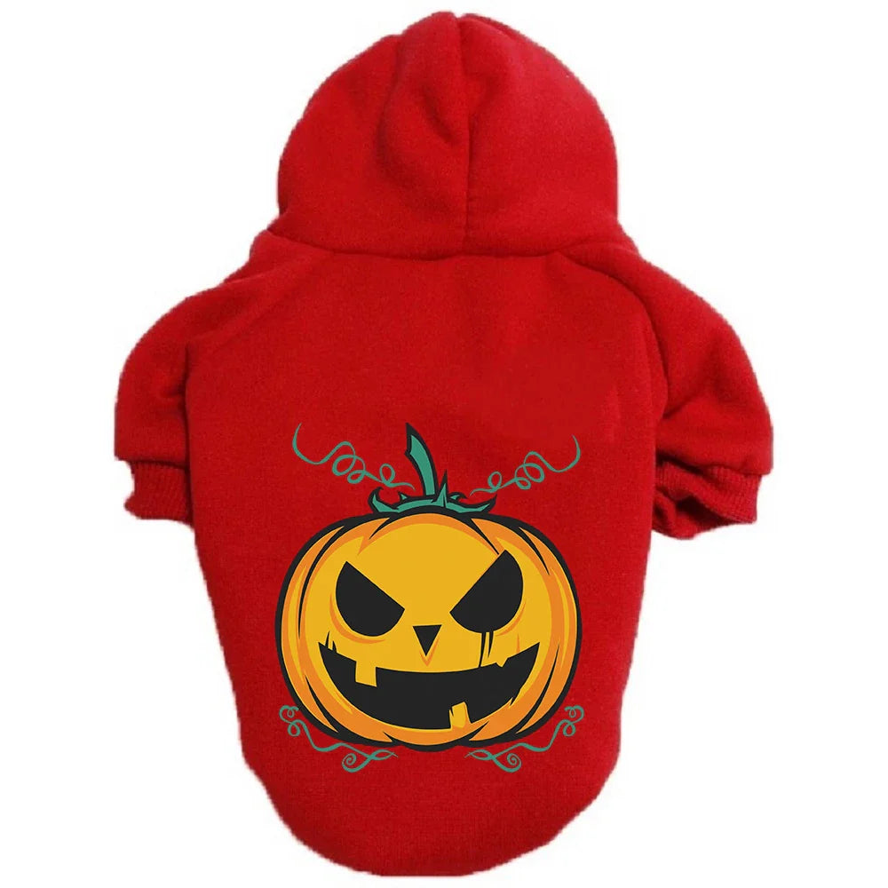 A cozy pumpkin-themed dog sweater in various vibrant colors, perfect for Halloween festivities.