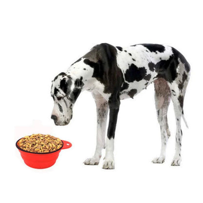 Foldable, colorful pet bowls made of durable silica gel with a generous 350ml capacity for food and water