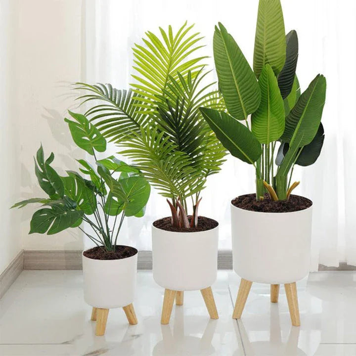 A modern self-watering planter with a wooden stand, designed to simplify indoor gardening and enhance any space with its chic and functional features.