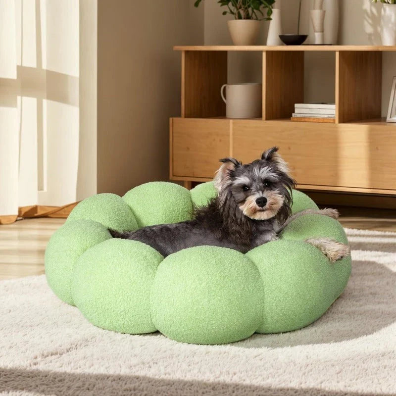 A cozy, flower-shaped dog bed made of soft, plush teddy sherpa fabric with raised edges for head and neck support, providing a calming and comfortable resting spot for medium-sized dogs.