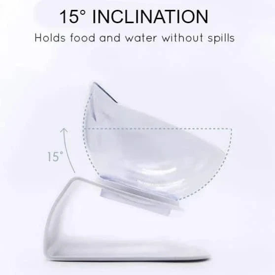 Elevated non-slip cat bowls with raised stand, perfect for preventing messes and encouraging slower eating for your feline friend