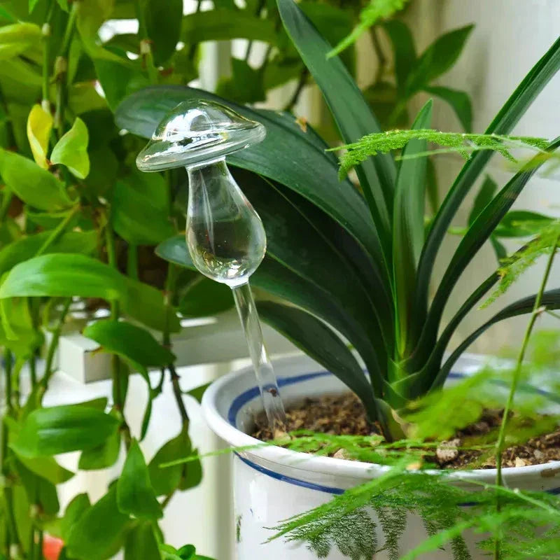 Automatic self-watering plant device in decorative designs including birds, stars, and mushrooms