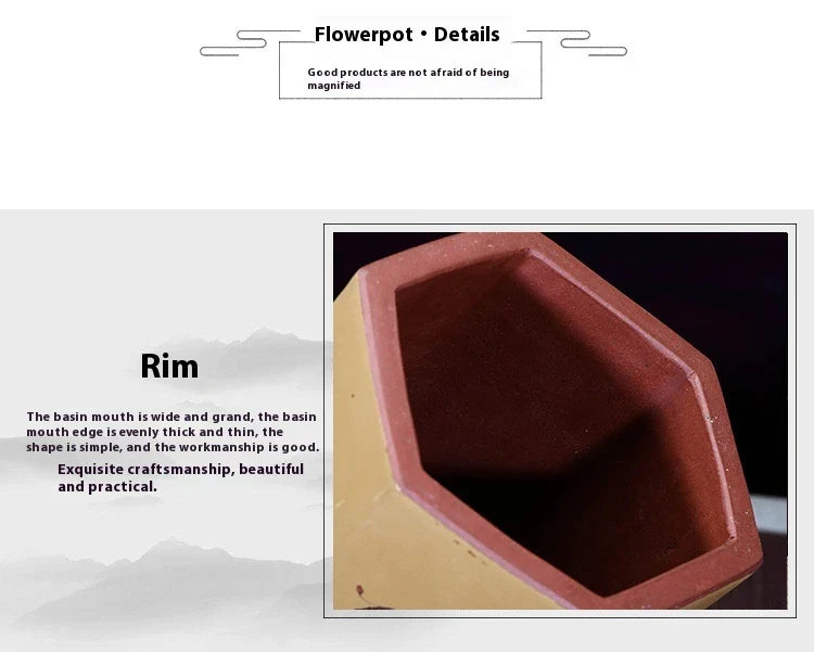 Hexagonal ceramic succulent planter with modern geometric design for desktop or home decor