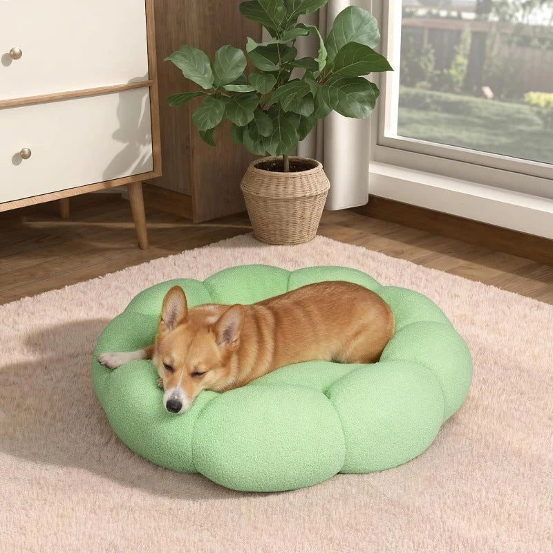 A cozy, flower-shaped dog bed made of soft, plush teddy sherpa fabric with raised edges for head and neck support, providing a calming and comfortable resting spot for medium-sized dogs.