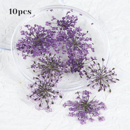 3D Dried Flower Nail Art Decorations Set featuring vibrant, real dried flowers for unique and elegant nail designs