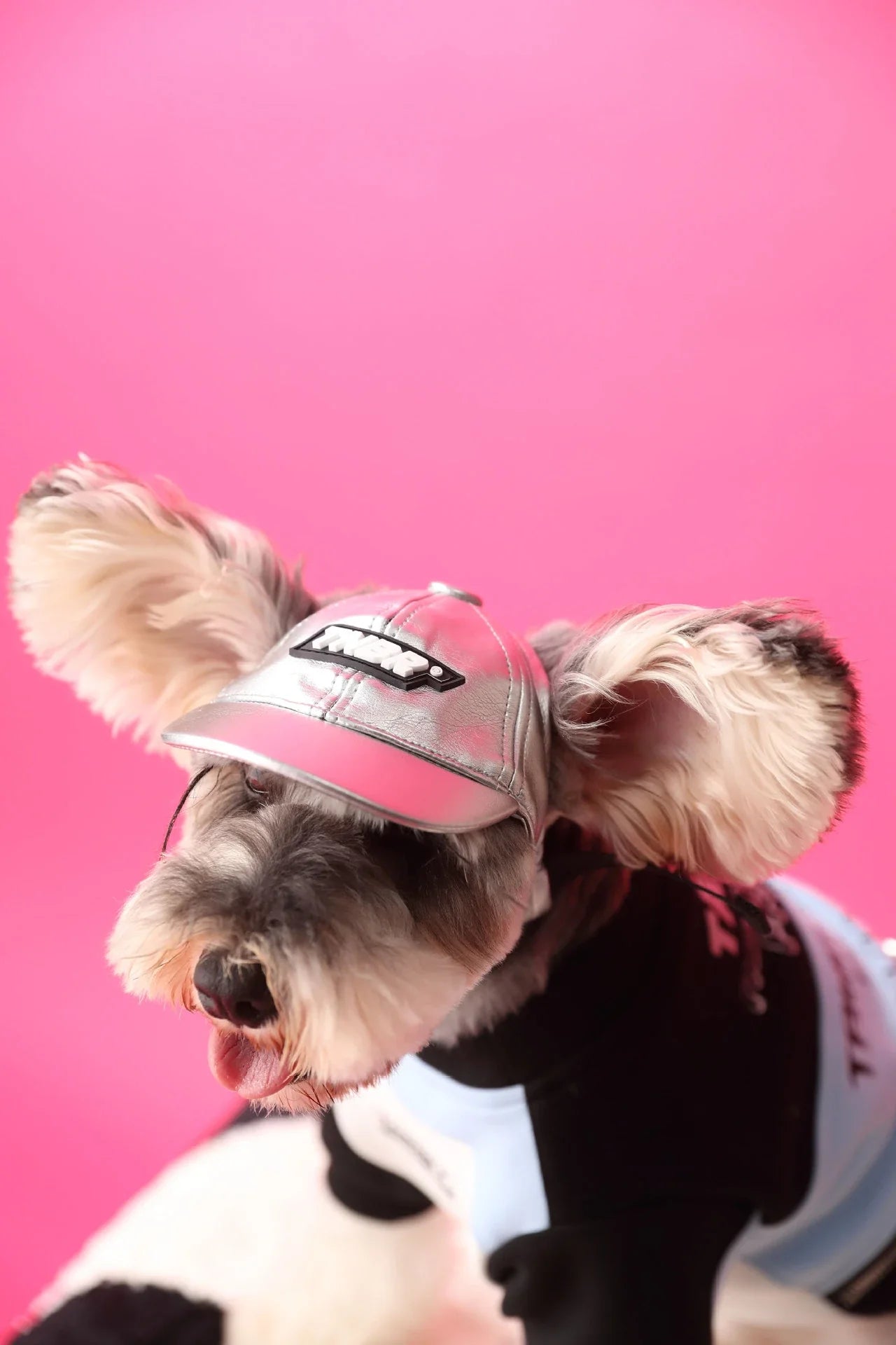 Cozy dog pullover sweater in pink color with zipper closure, made of soft cotton material for pet comfort and style